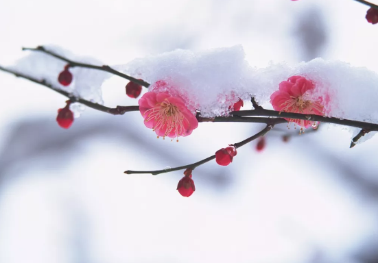 普乐斯等离子清洗机提醒,今日大寒仍需防寒