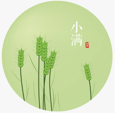 今日小满,小得盈满-普乐斯等离子清洗机