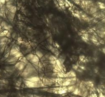 熔喷布纤维网微观图-普乐斯