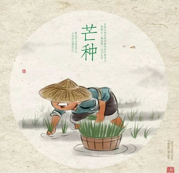 芒种时节,习俗不“盲”-普乐斯等离子清洗机