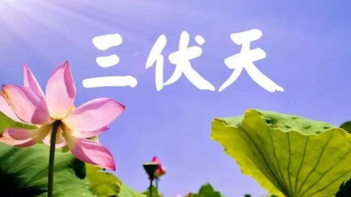 入伏,或开启蒸煮模式-普乐斯等离子清洗机