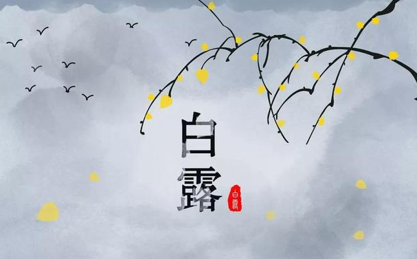 今迎白露,盛夏退场-普乐斯等离子清洗机